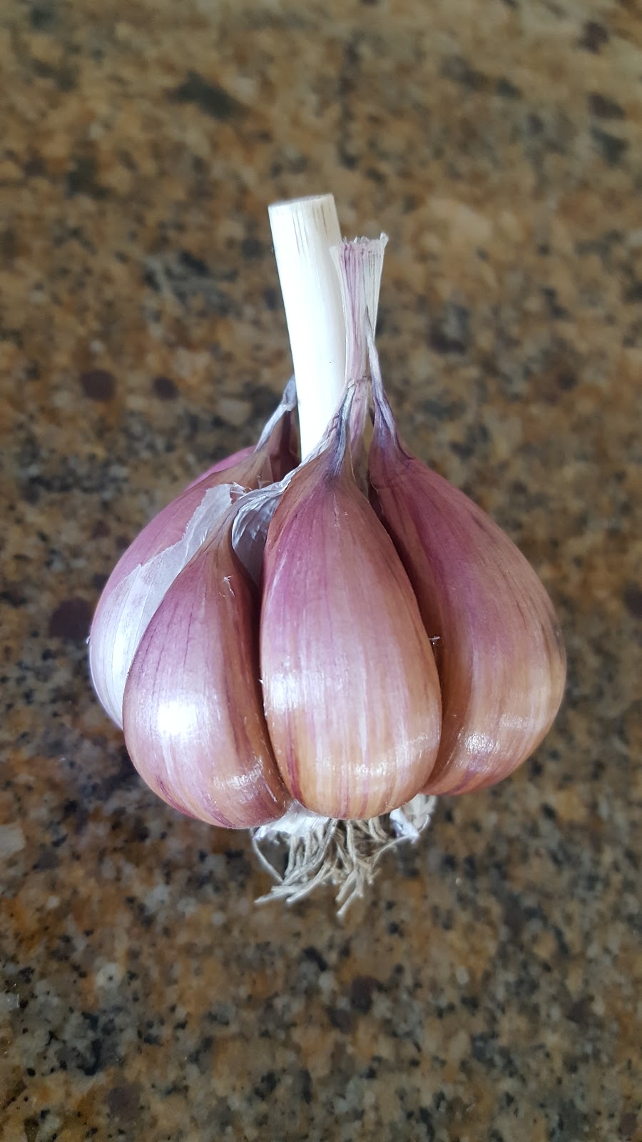 Durant Gourmet Garlic | 7272 L & a Rd, Vernon, BC V1B 3S8, Canada