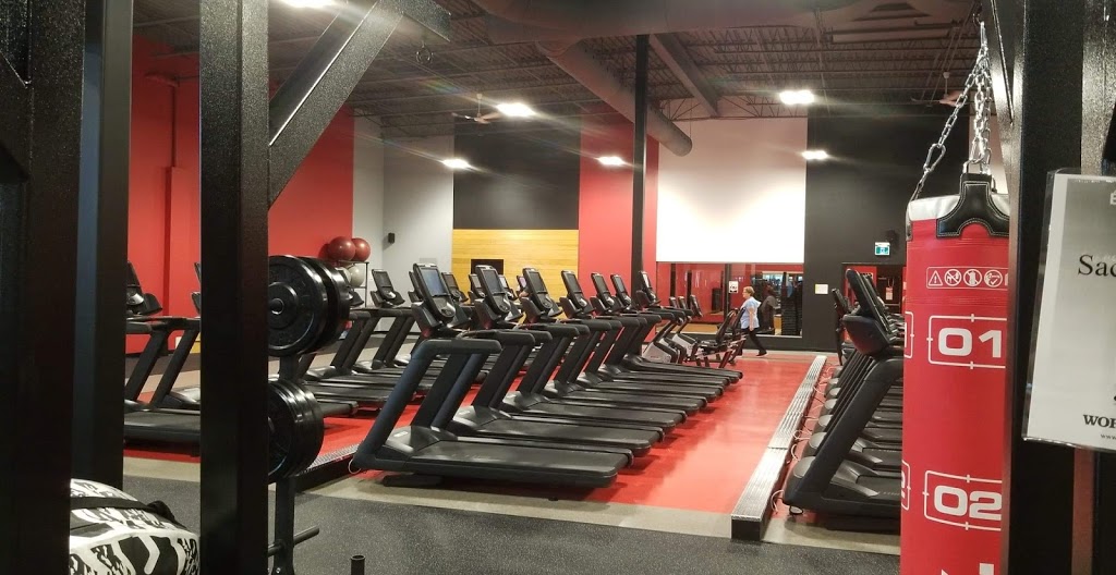 World Gym Sherbrooke | 3350 De, Boulevard De Portland, Sherbrooke, QC J1L 1K1, Canada | Phone: (819) 416-2500