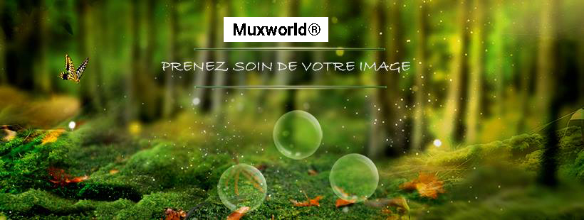 MuxWorld | 280 Rue Denison O #4, Granby, QC J2G 4E4, Canada | Phone: (450) 915-2335
