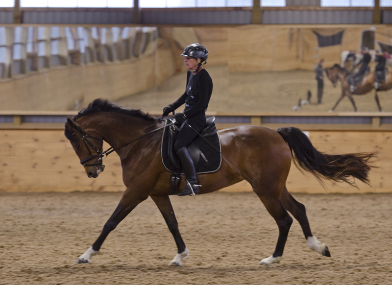 Briar Quest Farm | 5225 Westdel Bourne, London, ON N6P 1P3, Canada | Phone: (519) 660-9750