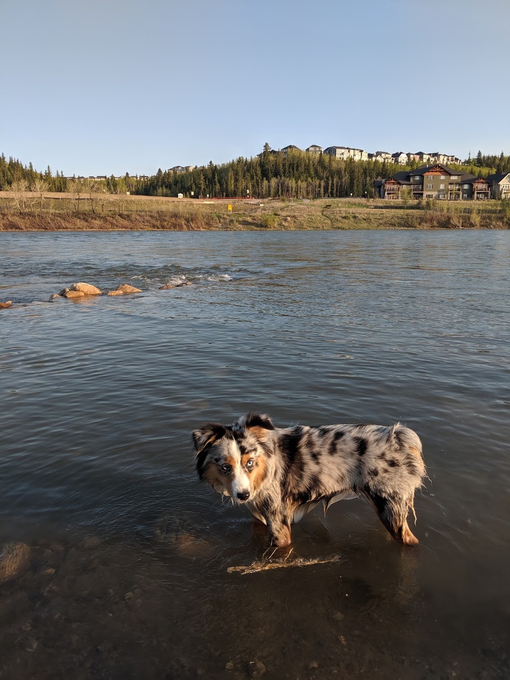 Spray Lake Sawmills Family Sports Centre | 800 Griffin Rd E, Cochrane, AB T4C 2B8, Canada | Phone: (403) 932-1635