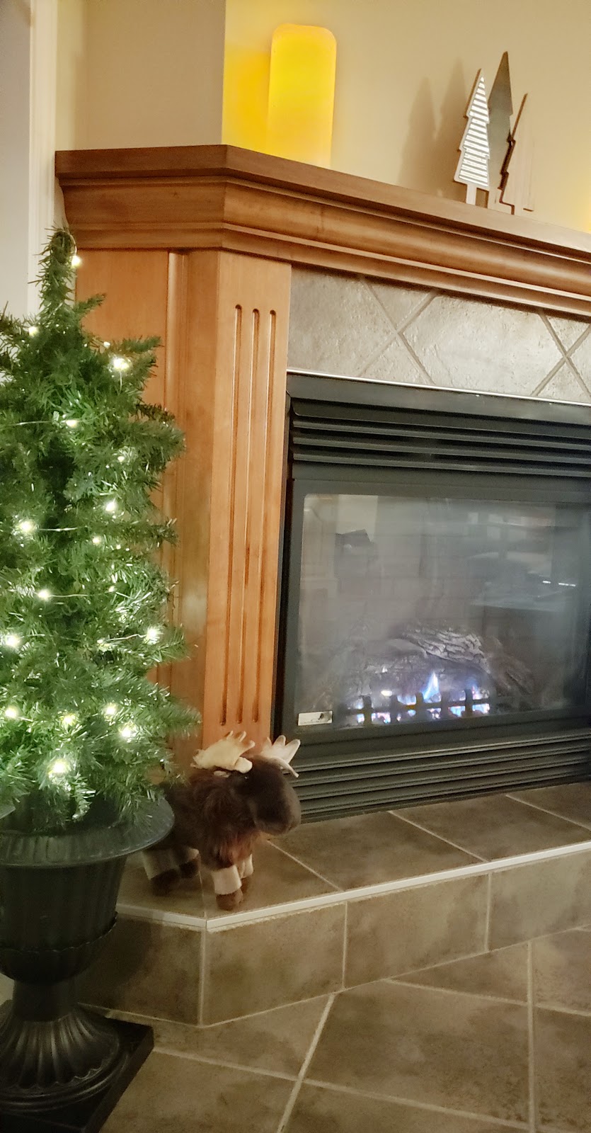Condo Confo Ski-in Ski-out Stoneham | 33 Chem. du Hameau #101, Stoneham-et-Tewkesbury, QC G3C 1X5, Canada | Phone: (418) 717-4636