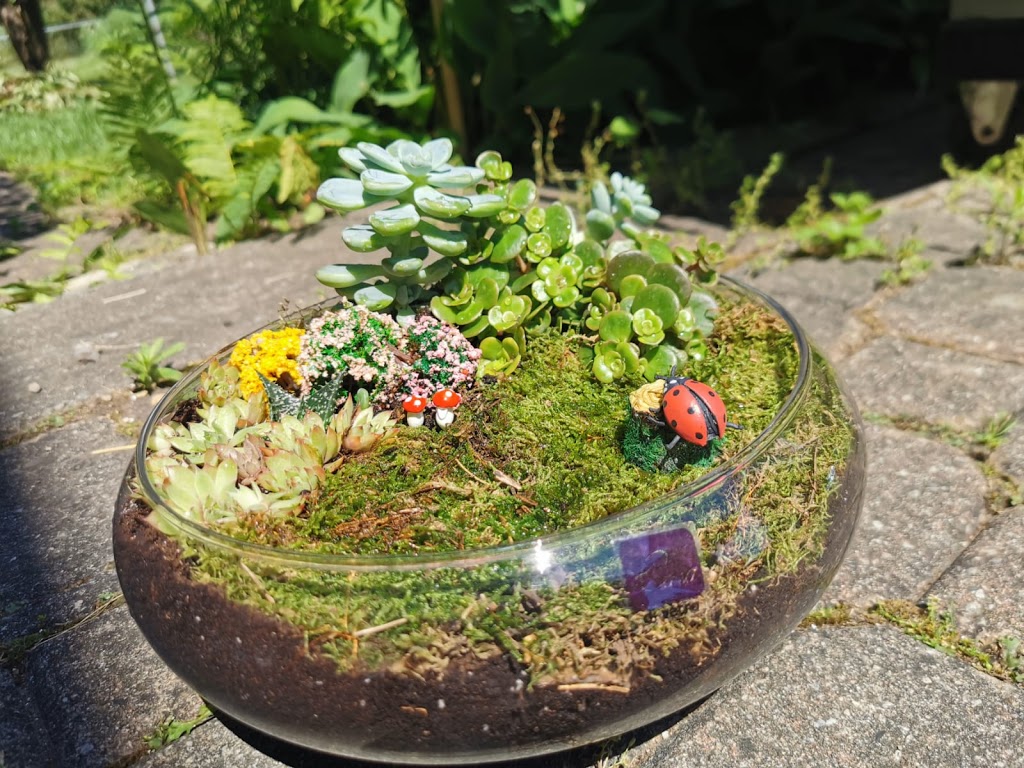Mini Garden Store | 50 Windsor Rd, Georgetown, ON L7G 4W7, Canada | Phone: (289) 683-9195