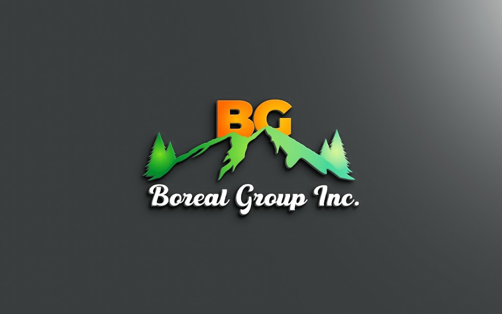 Boreal Group Inc. | 498 Eagle St N Unit 206, Cambridge, ON N3H 1C2, Canada | Phone: (416) 834-6005