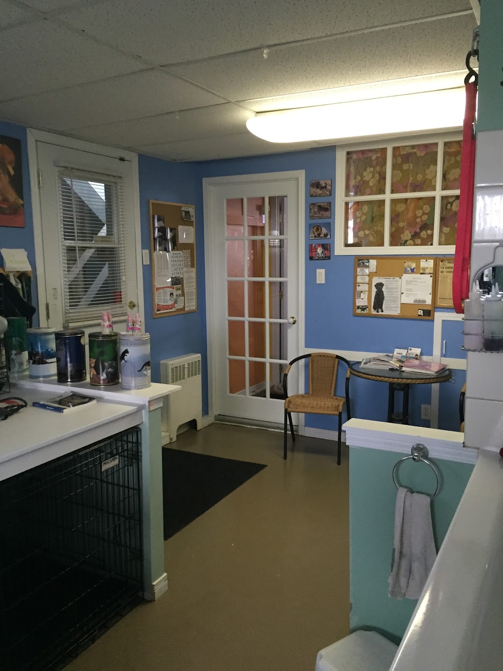 AT BEAUTY SALON DOG AND CAT | 1735 Av. de la Famille, Québec, QC G2G 1M2, Canada | Phone: (418) 877-5171
