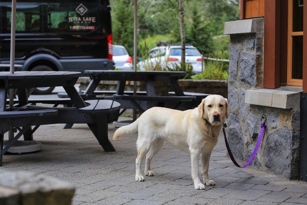 Fix Café | 2131 Lake Placid Rd, Whistler, BC V8E 0B2, Canada | Phone: (604) 966-5700