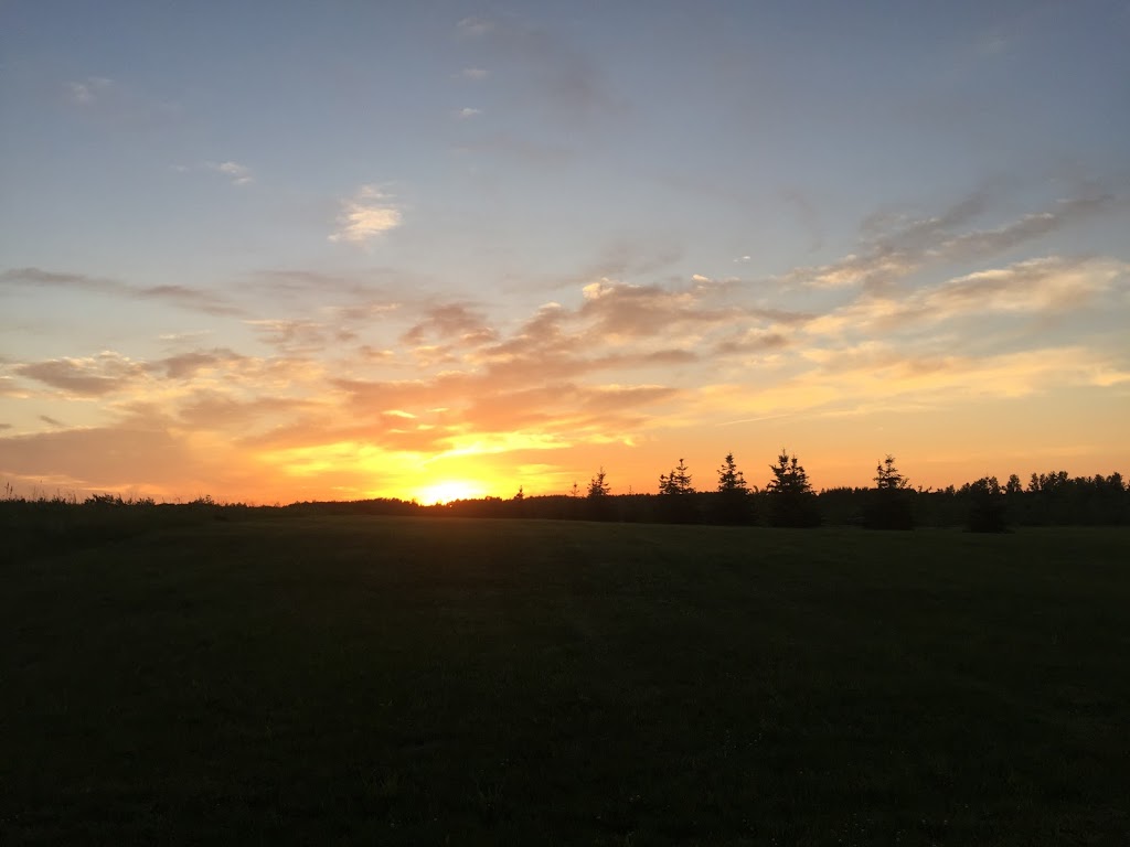 Birds Hill Provincial Park Campground | Springfield, MB R0E 1J0, Canada | Phone: (204) 948-3333