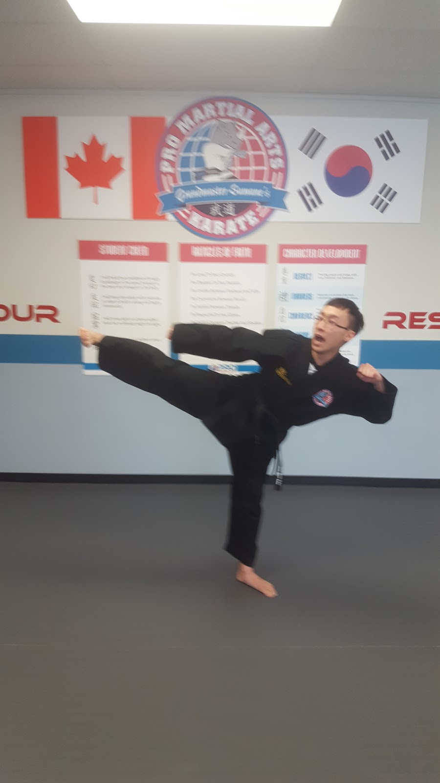 Pro Martial Arts Summerside | 1231 91 St SW, Edmonton, AB T6X 1E9, Canada | Phone: (780) 761-0762