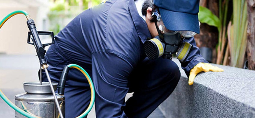 Reliable Pest Control | 1730 McPherson Ct, Pickering, ON L1W 3E6, Canada | Phone: (888) 831-2727