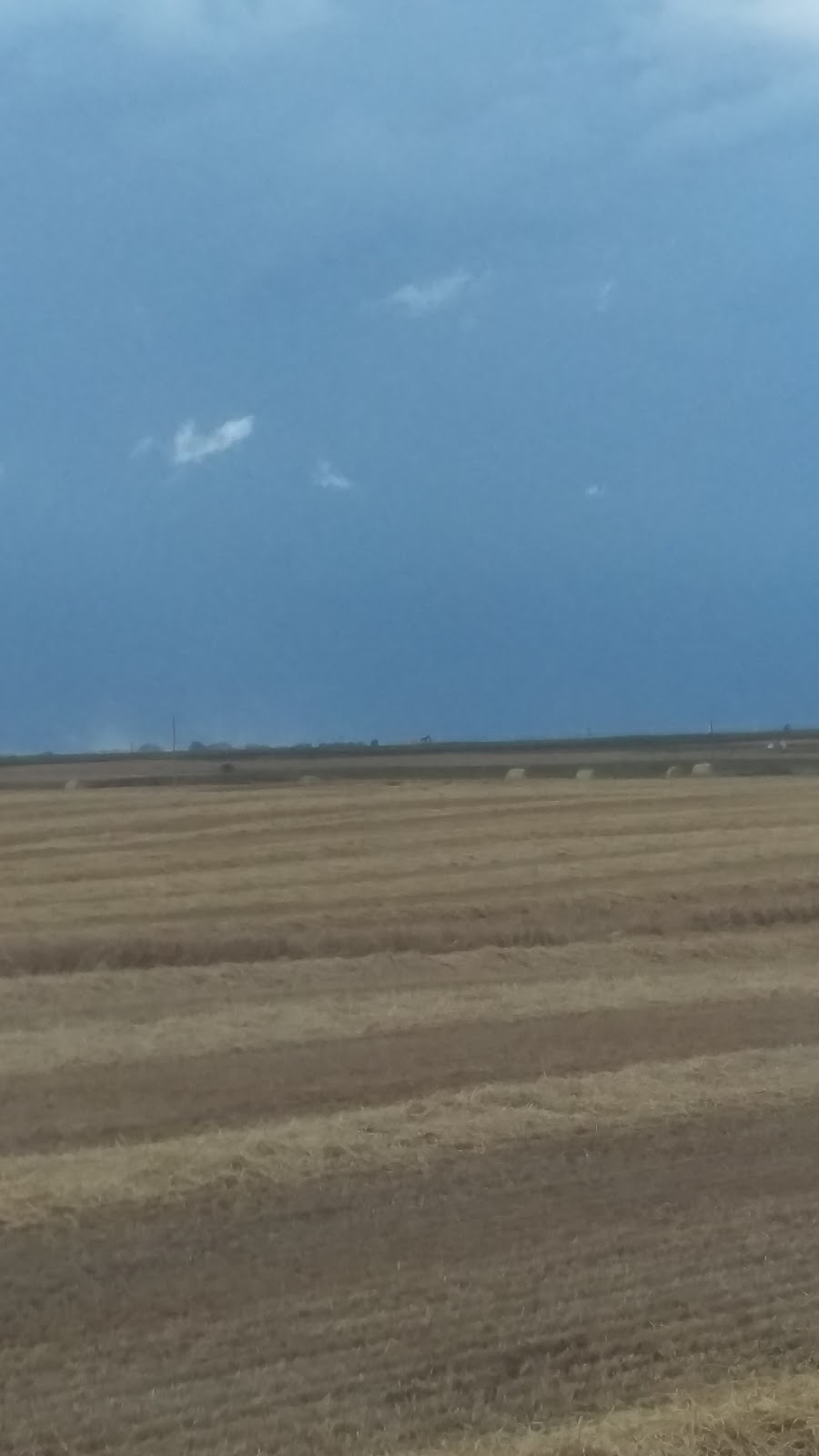 Underwateralien.com | Speargrass Golf Course, Speargrass Blvd, Carseland, AB T0J 0M0, Canada | Phone: (403) 479-3353