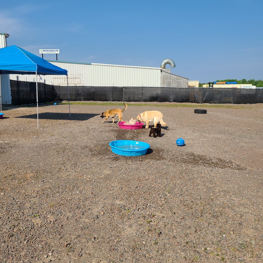 Gardierie Dieppe Doggy Daycare | 675 Babin St, Dieppe, NB E1A 5M7, Canada | Phone: (506) 381-0099