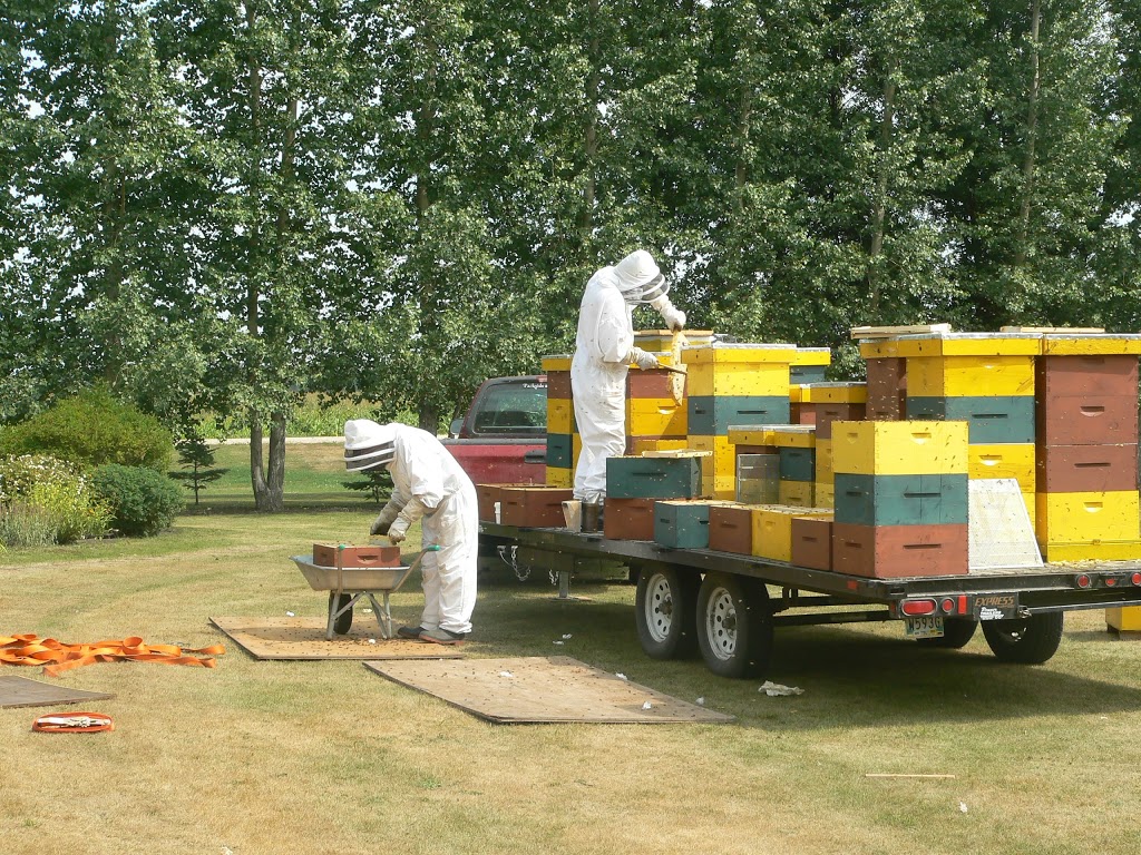 Golden Honey | Gretna, MB R0G 0V0, Canada | Phone: (204) 327-5463