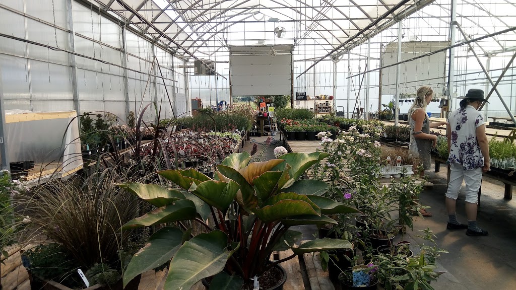 Better Earth Gardens & Tropicals | 1629 K. L. O. Rd, Kelowna, BC V1W 3P3, Canada | Phone: (250) 861-1881