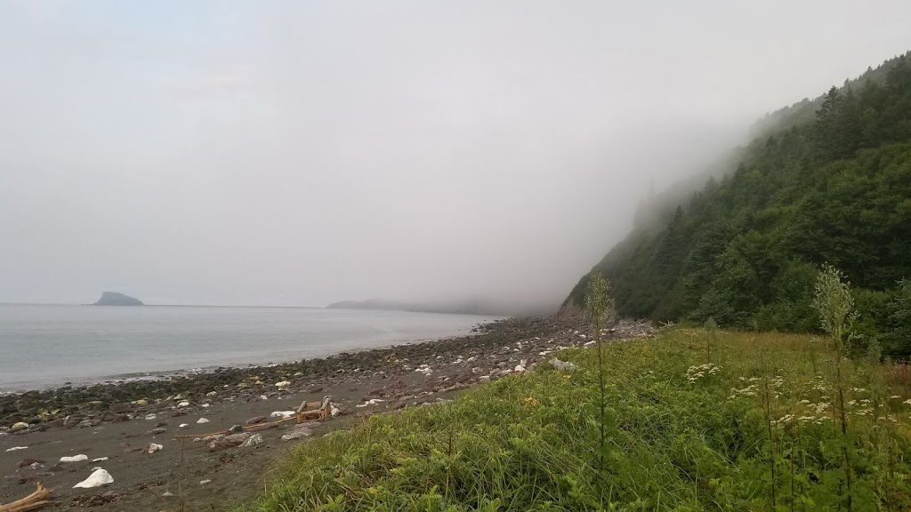 Goose Creek - UNESCO Fundy Biosphere Reserve Amazing Place | Saint Martins Parish, NB E5R, Canada | Phone: (506) 874-3272