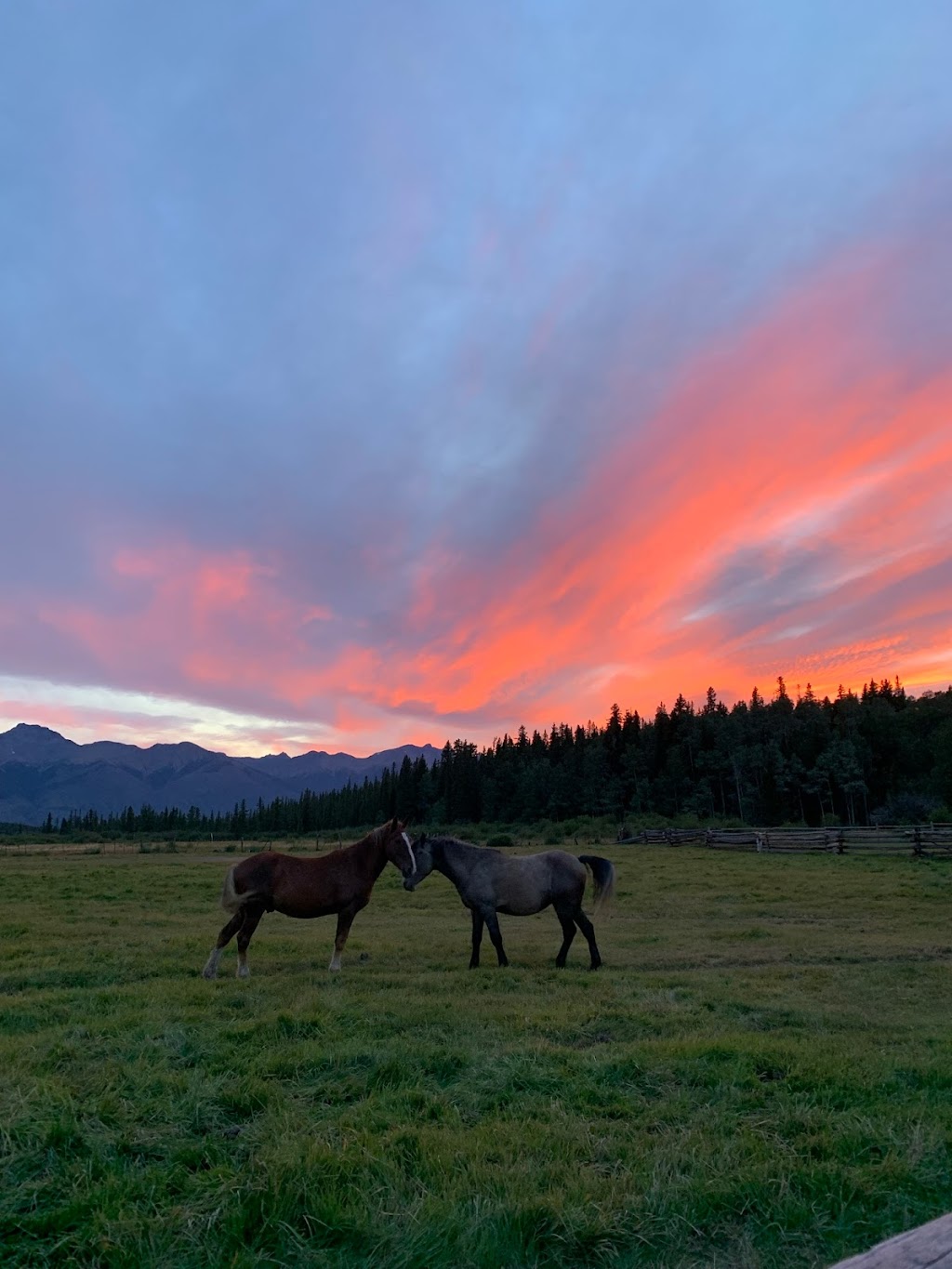 Flying L Ranch, Michael Lares | Nemaiah Valley Rd, Nemaiah Valley, BC V0L 1X0, Canada | Phone: (250) 302-2989