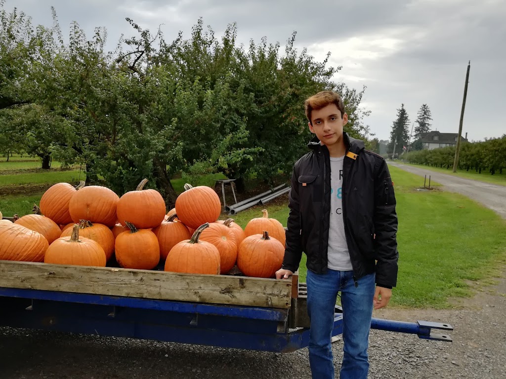 Pineview Orchards | 4198 Jordan Rd, Jordan Station, ON L0R 1S0, Canada | Phone: (289) 968-5068