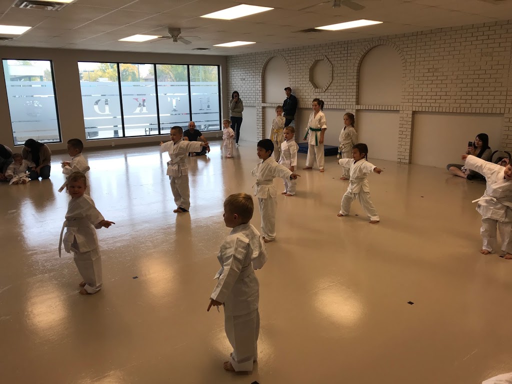 Hetlinger TaeKwon-Do | 56 Ave By-the-Lake-Park, Wetaskiwin, AB T9A 3C9, Canada | Phone: (780) 312-4853