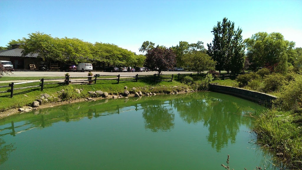 Kurtz Orchards Niagara on the Lake | 16006 Niagara Pkwy, Niagara-on-the-Lake, ON L0S 1J0, Canada | Phone: (905) 468-2937