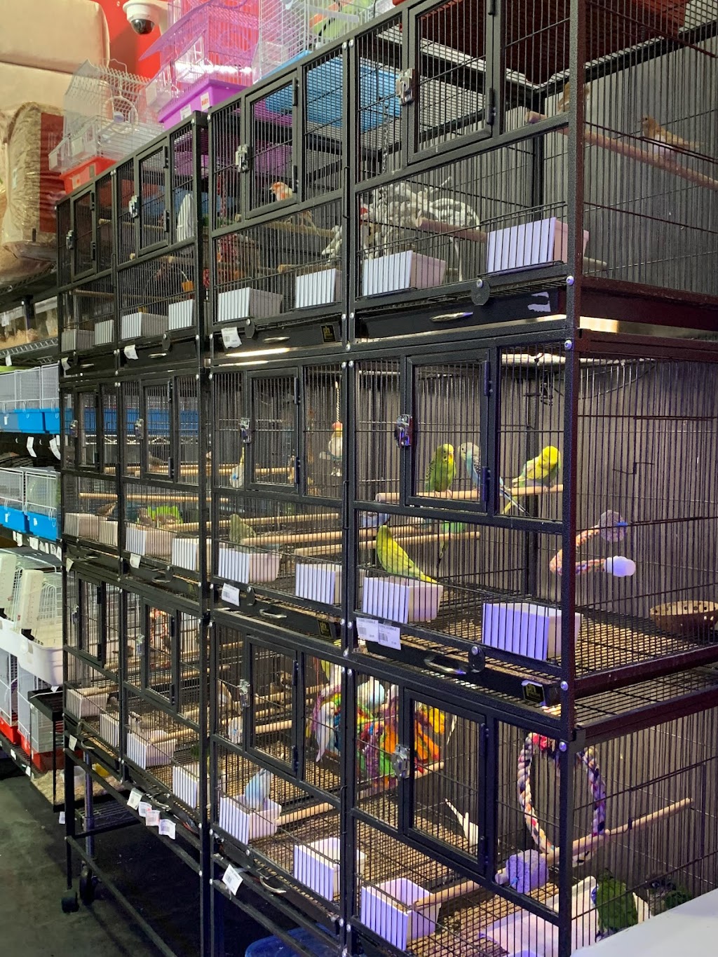 Terre Animale | 1562 Bd Talbot, Chicoutimi, QC G7H 4C2, Canada | Phone: (418) 549-9938