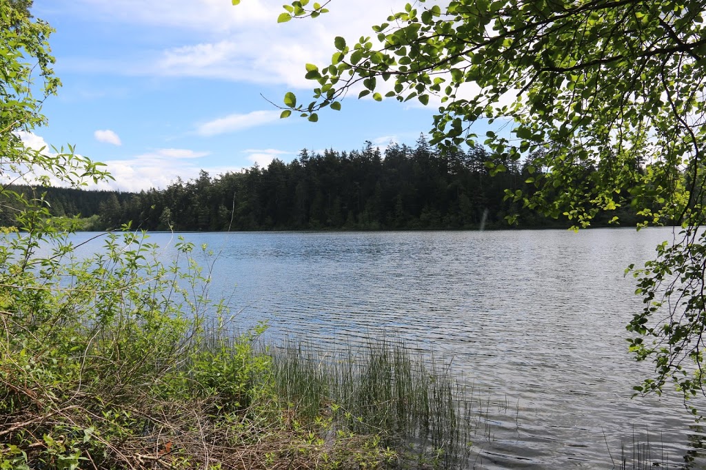 big cedar trail | Rosario Rd, Anacortes, WA 98221, USA