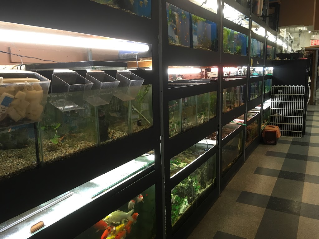 Puppies Fish & Critters | 7019 120 St, Delta, BC V4E 2A9, Canada | Phone: (604) 590-3727