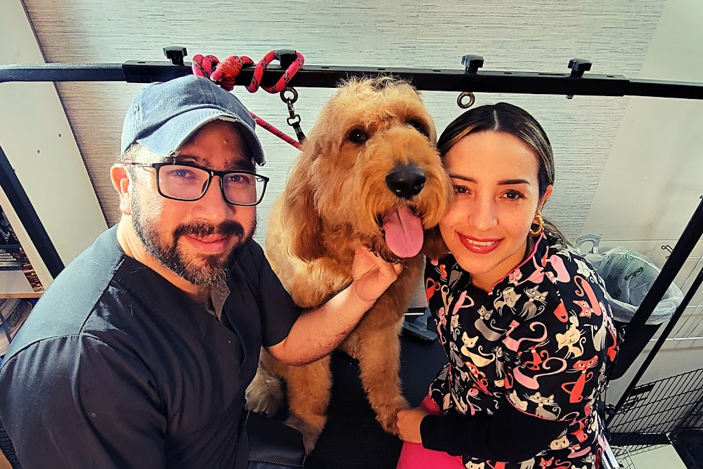 JonnaT Pet Grooming Style | 24 Wenlock Crescent, London, ON N6G 3B6, Canada | Phone: (226) 700-5360