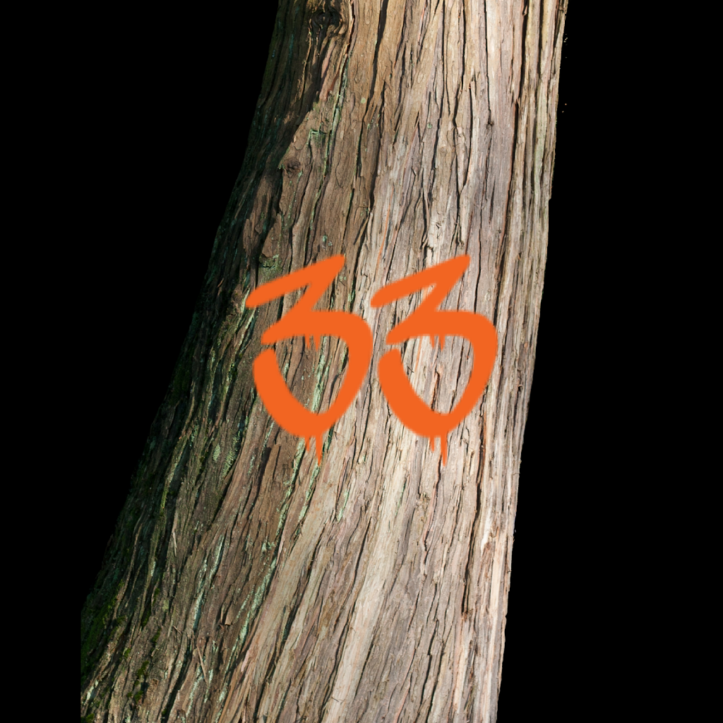 Tree 33 | 120 White Pine Crescent, Pickering, ON L1V 6S4, Canada | Phone: (647) 982-8733