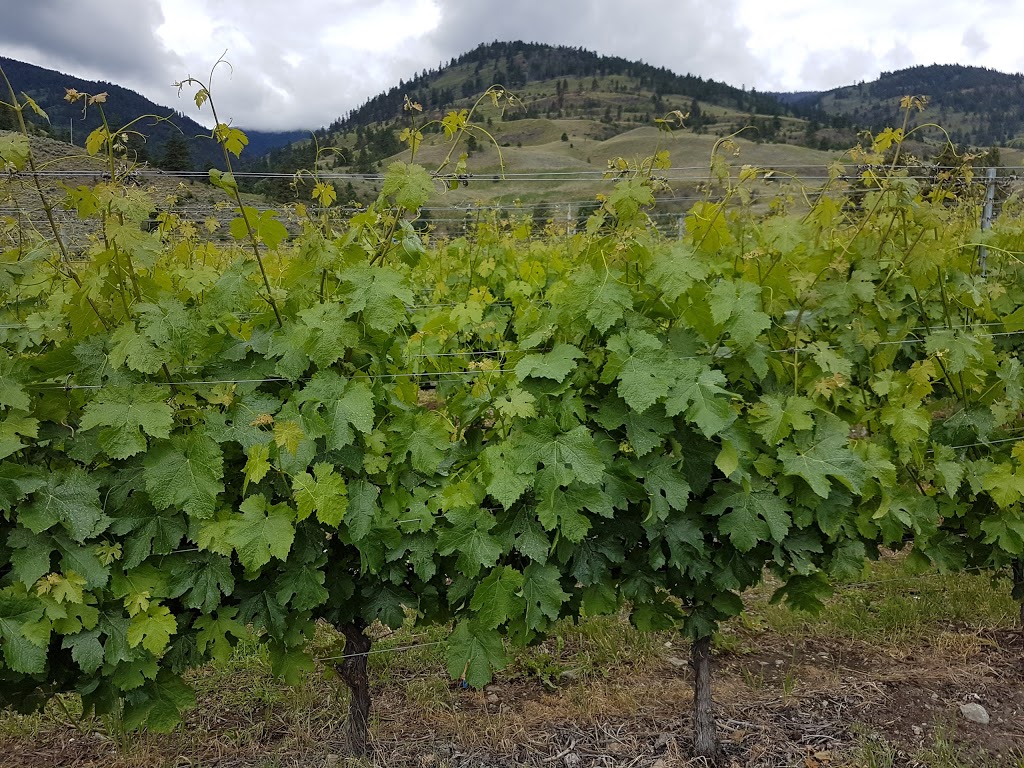 Culmina Family Estate Winery | 4790 Wild Rose St, Oliver, BC V0H 1T0, Canada | Phone: (250) 498-0789