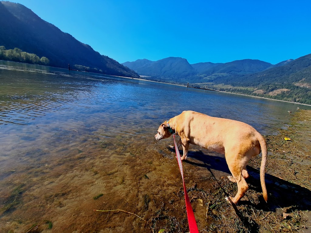 Stave Lake Veterinary Hospital | 7871 Stave Lake St E130, Mission, BC V2V 0B5, Canada | Phone: (604) 286-0160