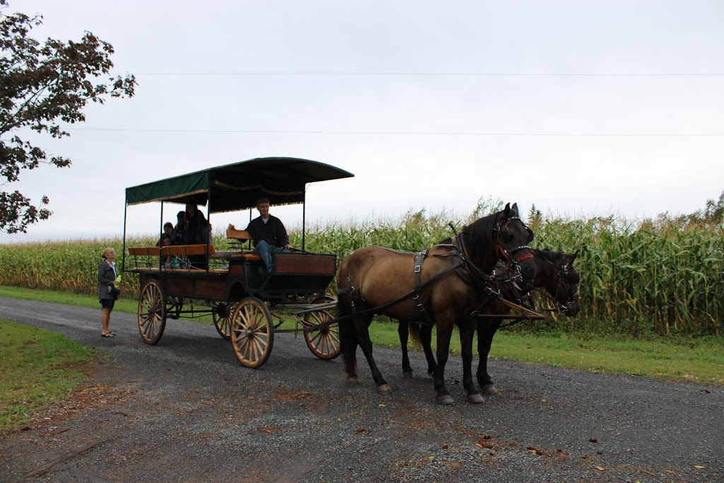 Do Duck Inn Cottages | 5082 Murray Harbour Rd, Vernon Bridge, PE C0A 2E0, Canada | Phone: (902) 213-4278