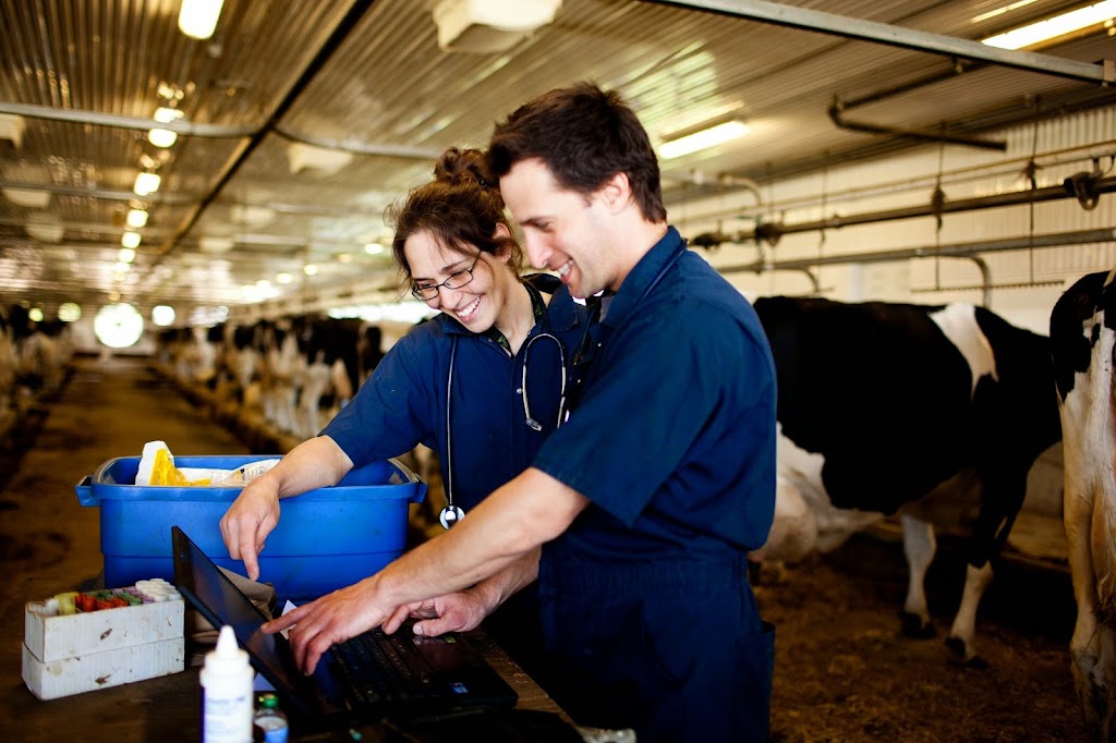 Service vétérinaire des vallées au fleuve inc | 86 Rue Principale, Saint-Arsène, QC G0L 2K0, Canada | Phone: (418) 862-1011