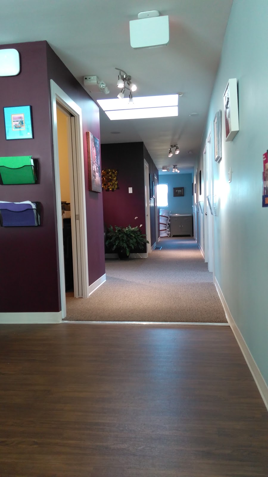 The Back Doctors Chiropractic Wellness | 3180 Harriet Rd, Victoria, BC V9A 1T8, Canada | Phone: (250) 381-1124