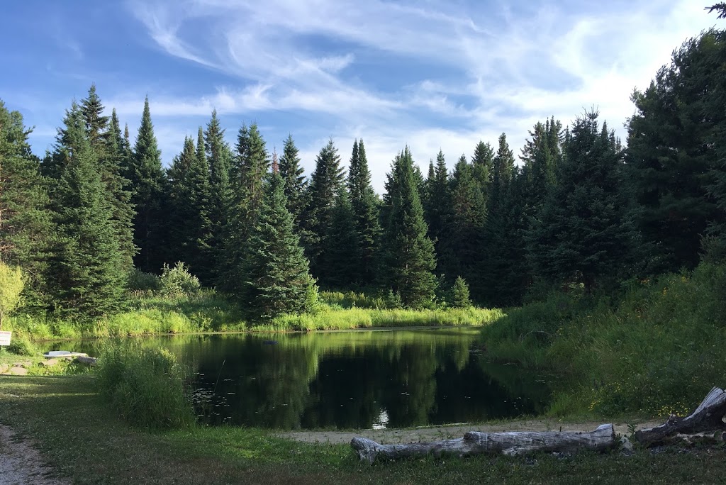 Tipi Adventures - Simply Fit and Fun! | 1345 Beatrice Townline Rd, Bracebridge, ON P1L 1X4, Canada | Phone: (705) 706-7125