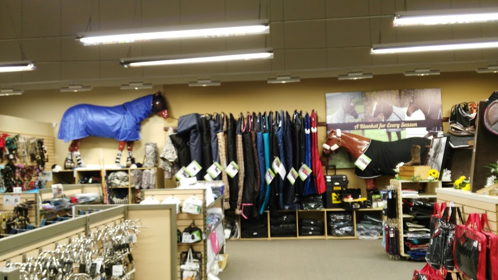 Greenhawk Equestrian Sport - McLaughlin | 5665 McLaughlin Rd, Mississauga, ON L5R 3K5, Canada | Phone: (905) 238-0311