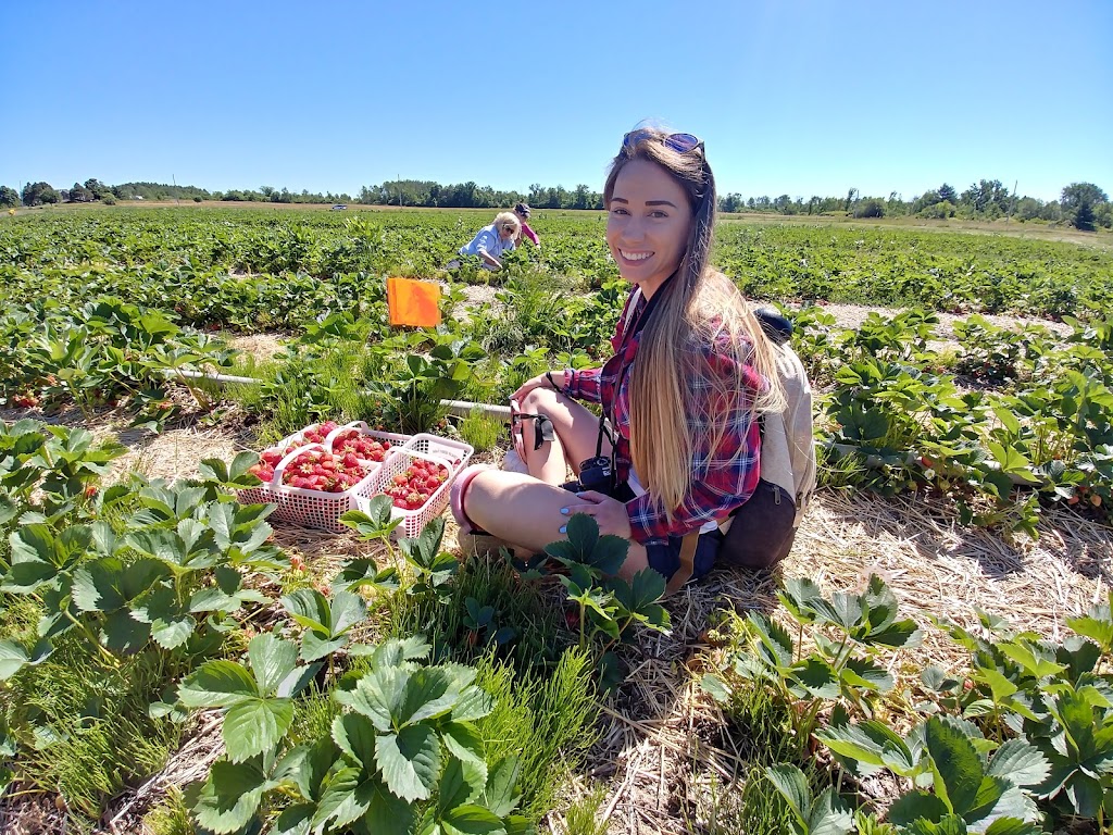 Fruition Berry Farm | 3208 Hughes Rd, Kingston, ON K7L 4V3, Canada | Phone: (613) 548-3378