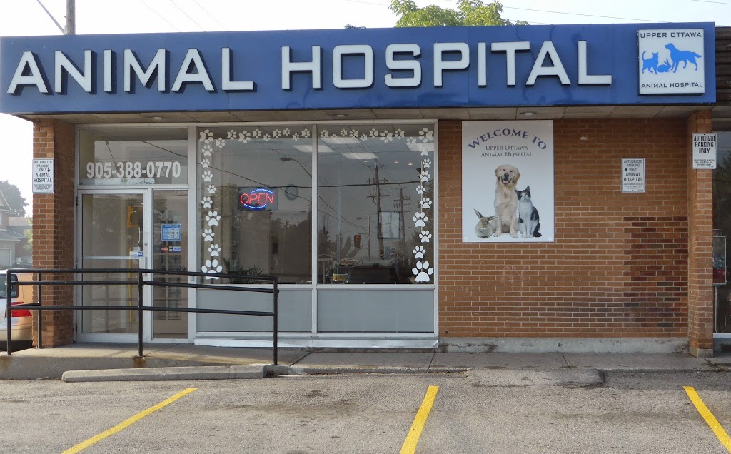 Upper Ottawa Animal Hospital | 868 Mohawk Rd E, Hamilton, ON L8T 2R5, Canada | Phone: (905) 388-0770