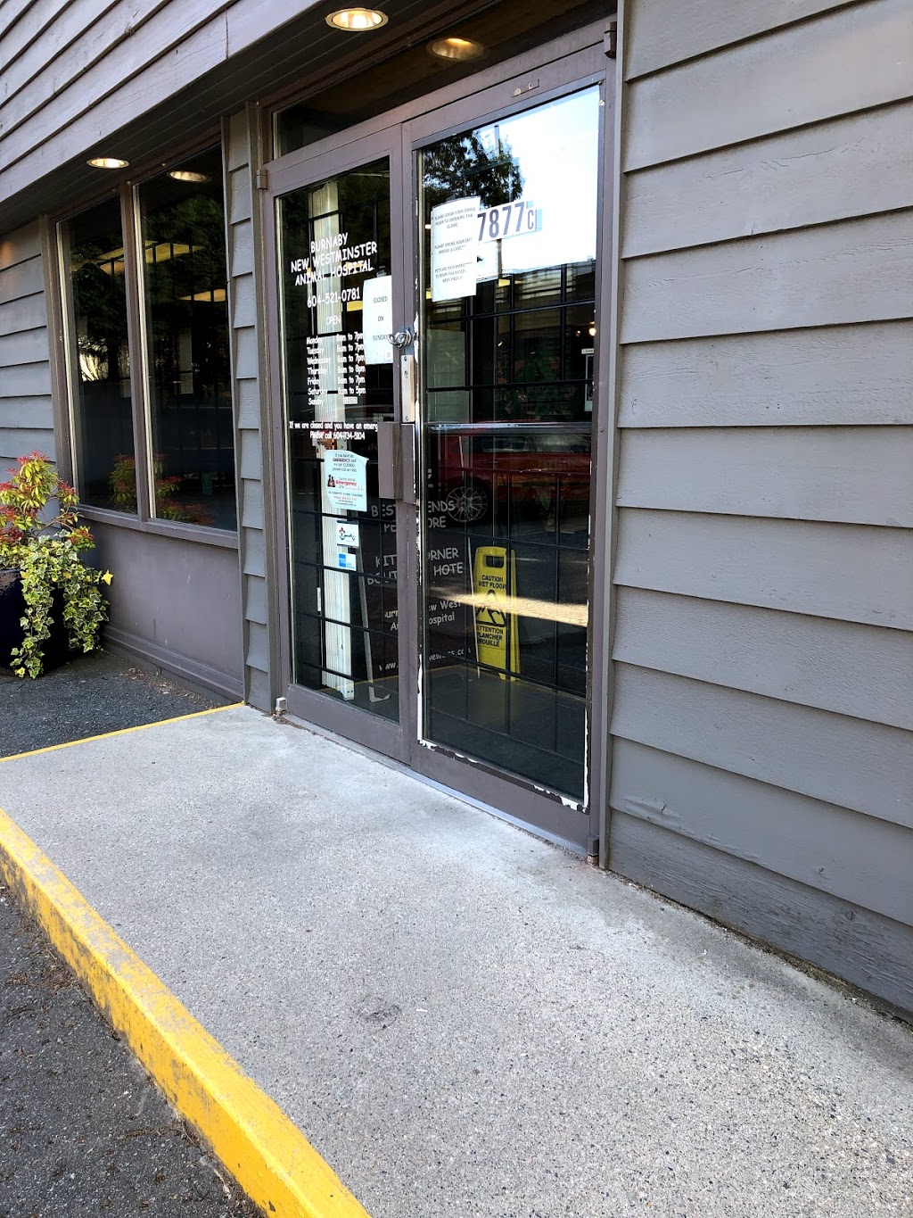 Care Pet Wellness Group | 7877 Kingsway, Burnaby, BC V3N 3E4, Canada | Phone: (604) 521-0781
