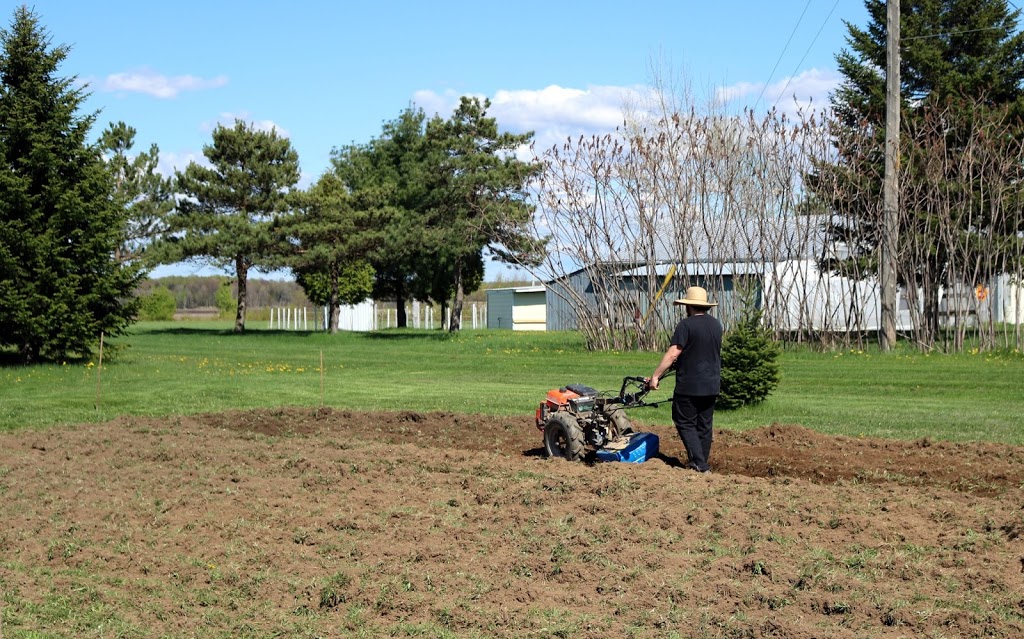 Jardins du Coeur et des Racines | 696 11e Rang, Saint-Eugène-de-Grantham, QC J0C 1J0, Canada | Phone: (418) 446-0503