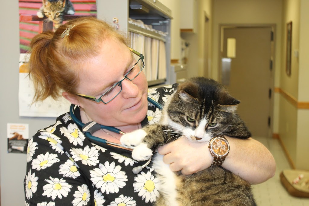Collins Bay Animal Hospital | 4037 Bath Rd, Kingston, ON K7M 4Y4, Canada | Phone: (613) 384-1010