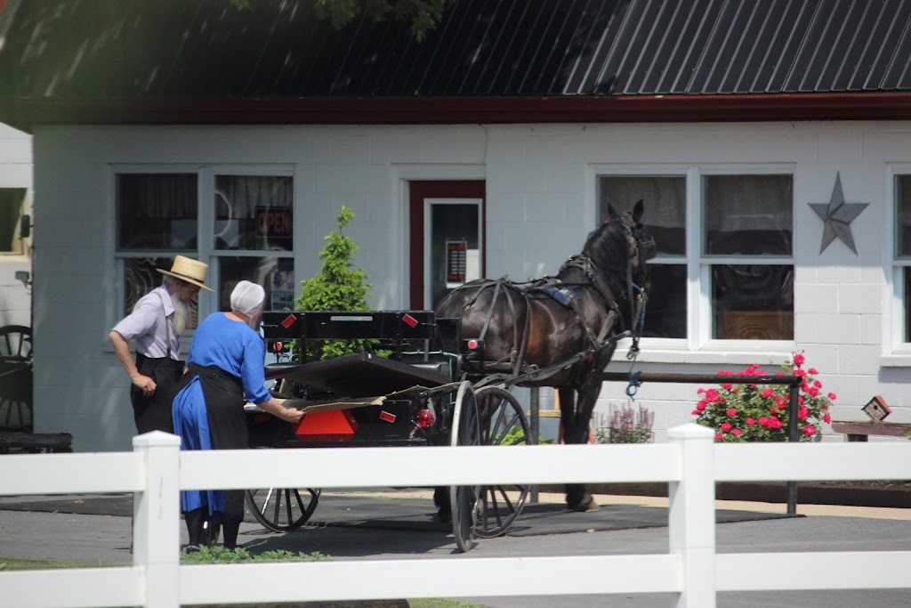 Getaway Vacations - Bus Tours and Charters | 16 Kayton Estates, Sylvan Lake, AB T4S 1R7, Canada | Phone: (800) 494-7579