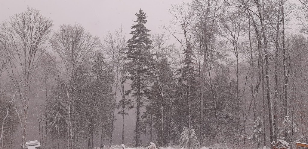 Chalet Nordique | 124 Chemin des Lacs à May, Entrelacs, QC J0T 2E0, Canada | Phone: (514) 464-2145