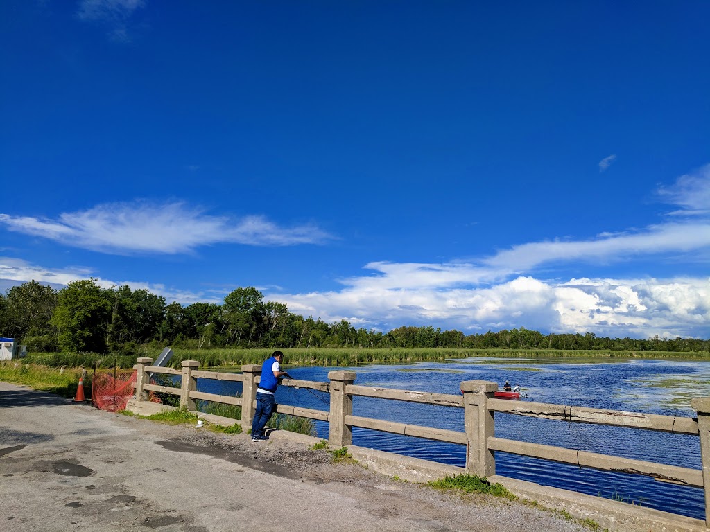 Cross Creek Marina & Resort | 825 River Rd, Lindsay, ON K9V 4R4, Canada | Phone: (705) 324-9543