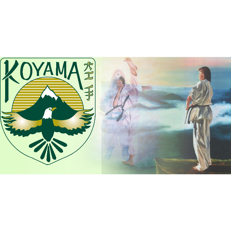 Koyama Inc | 866 Rue Notre-Dame, Repentigny, QC J5Y 1C7, Canada | Phone: (514) 238-9721