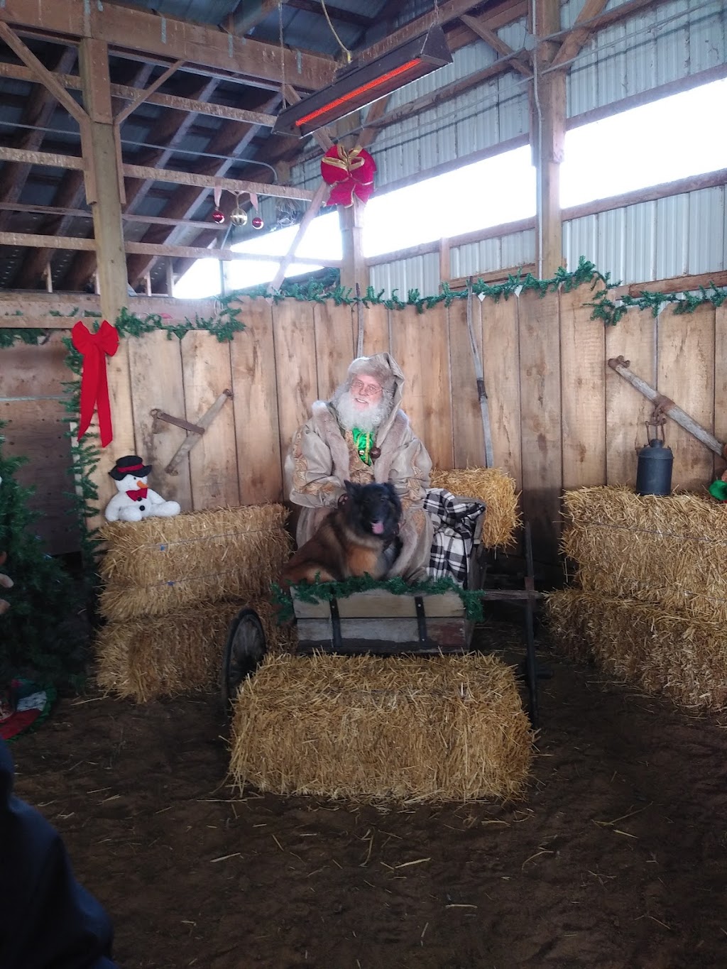 Whispering Hearts Horse Rescue | 1652 Concession 10 Walpole, Hagersville, ON N0A 1H0, Canada | Phone: (905) 768-9951