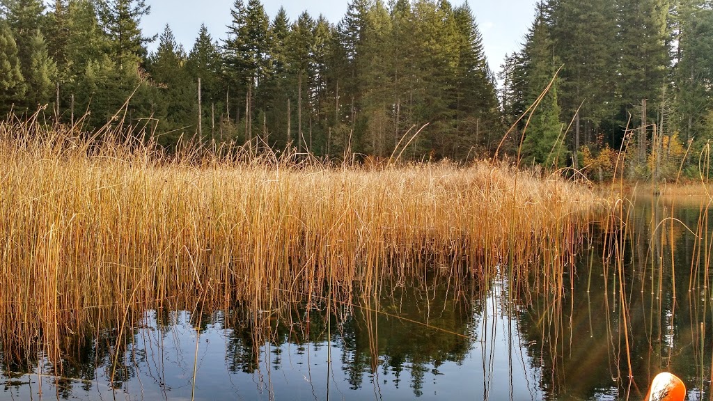 Weddles Lake Park | Chemainus, BC V0R 1K4, Canada | Phone: (250) 746-3100