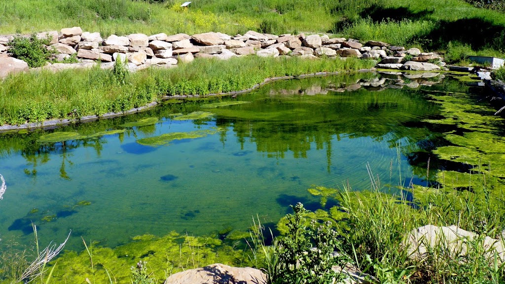Bow Habitat Station | 1440 17a St SE, Calgary, AB T2G 4T9, Canada | Phone: (403) 297-6561
