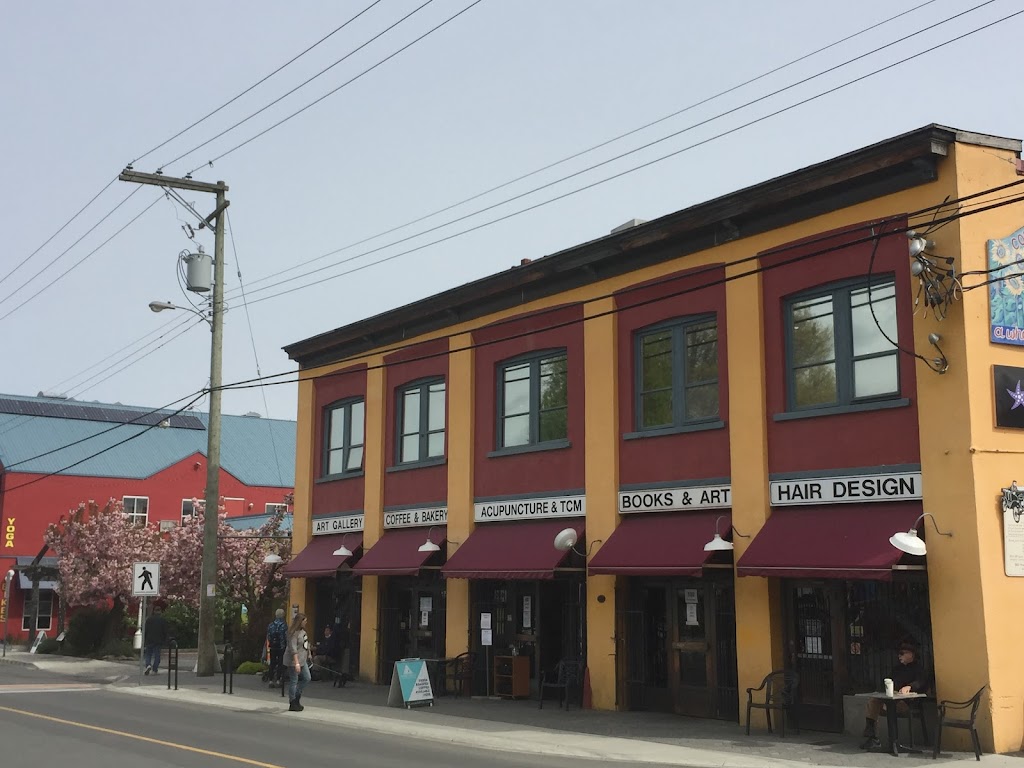 Devorah Fallows, Fallows Acupuncture & Chinese Medicine | upstairs, 330 Duncan St Suite 201-A, Duncan, BC V9L 3W4, Canada | Phone: (250) 815-0383