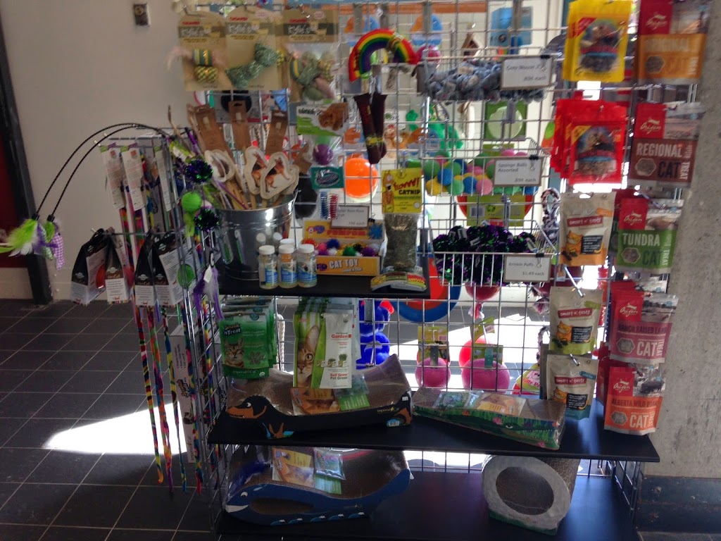 Cricket & Company | 21 Murray St, Ottawa, ON K1N 9M5, Canada | Phone: (613) 562-1919