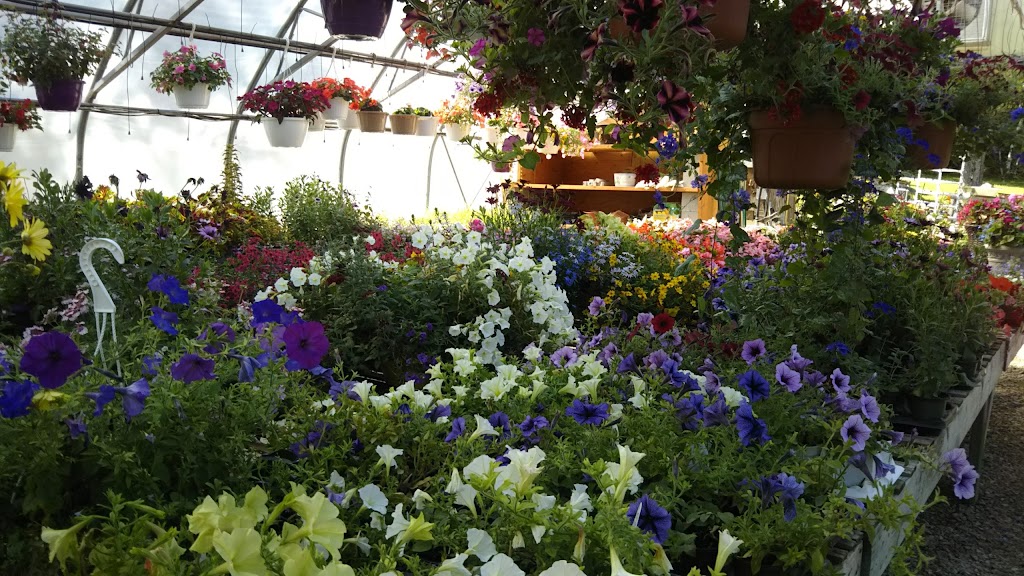 J Ds Manitoulin Garden Centre | 231 Side Rd 10, Tehkummah, ON P0P 2C0, Canada | Phone: (705) 859-2393