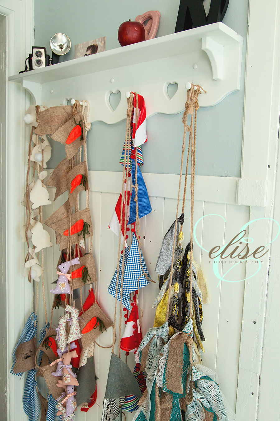 Elises Photography and Delhi Photo & Frame | 64 Dalton Rd, Delhi, ON N4B 2W4, Canada | Phone: (226) 567-5055